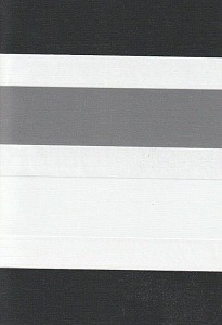 Закрытые рулонные шторы день-ночь Салерно, серый 2002 купить в Хотькове с доставкой